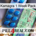 Kamagra 1 Week Pack new02